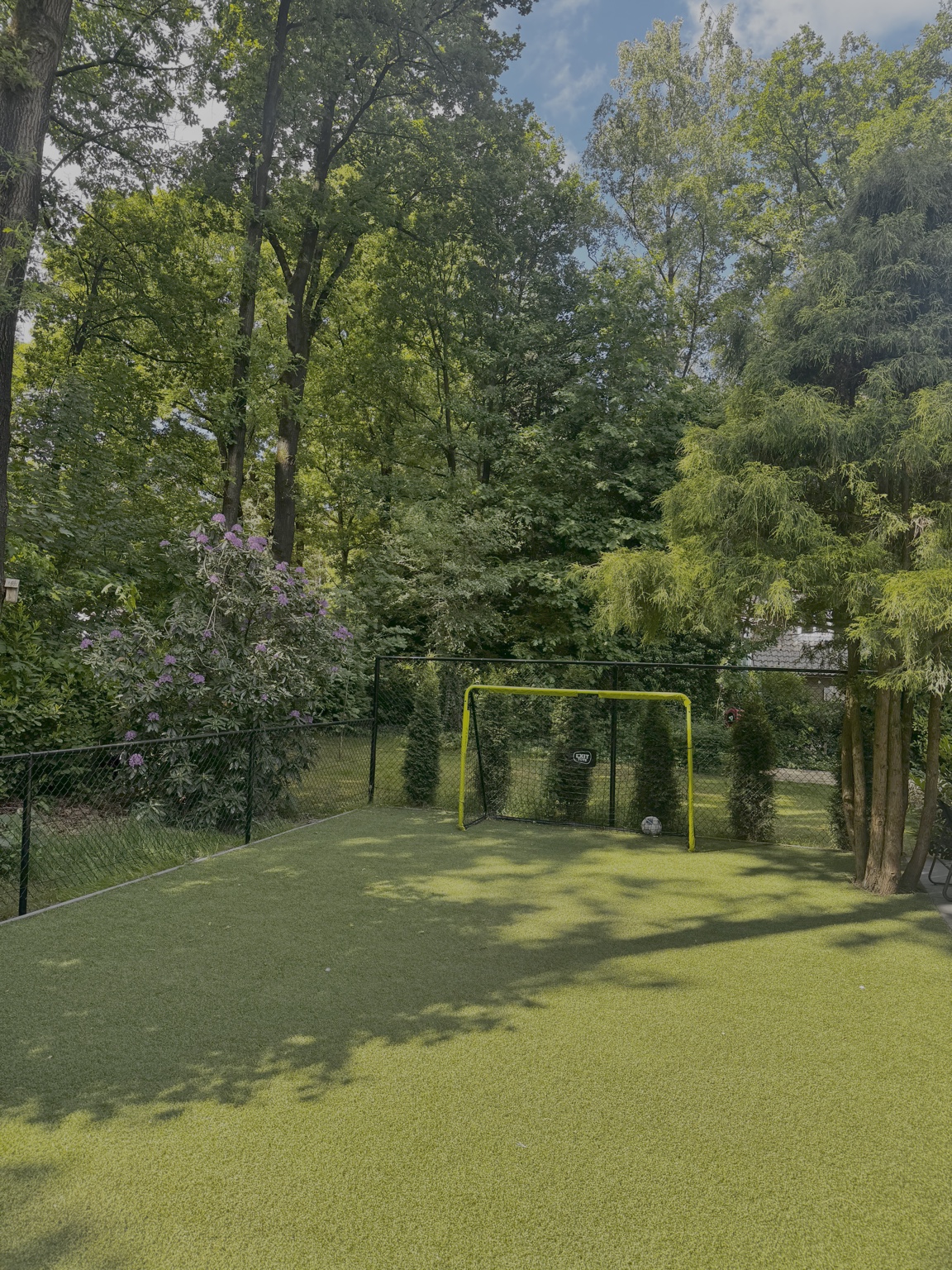 Omheind kunstgras voetbalveld met doel